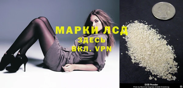 прущие грибы Дмитриев