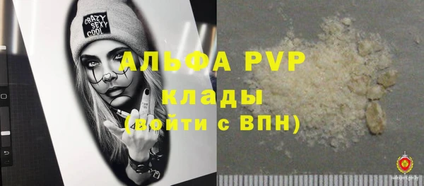 прущие грибы Дмитриев