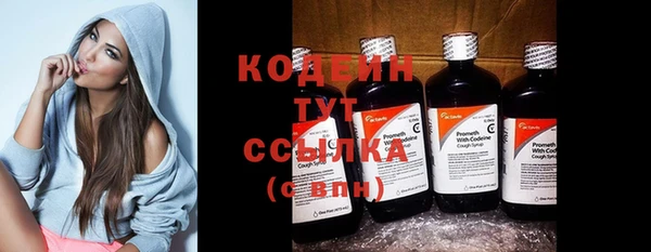прущие грибы Дмитриев