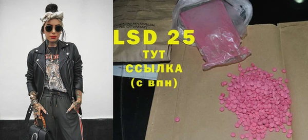 прущие грибы Дмитриев