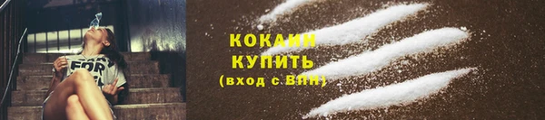 ГАЛЛЮЦИНОГЕННЫЕ ГРИБЫ Дмитровск