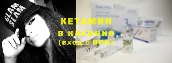 прущие грибы Дмитриев