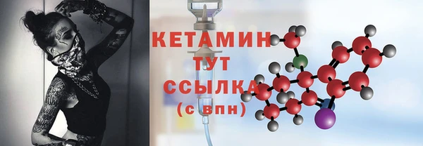 прущие грибы Дмитриев