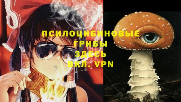 сатива Гусев