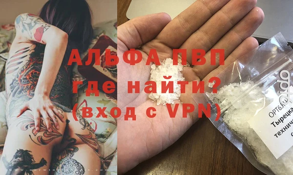 прущие грибы Дмитриев