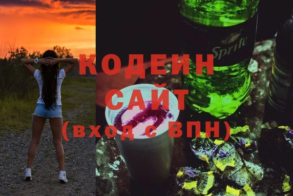 прущие грибы Дмитриев