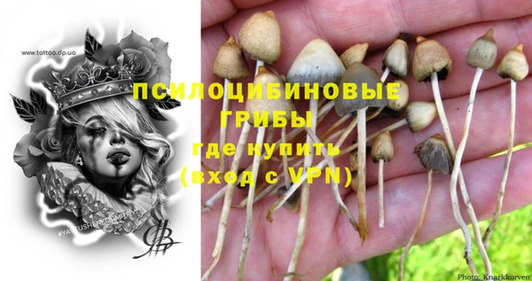 ГАЛЛЮЦИНОГЕННЫЕ ГРИБЫ Дмитровск