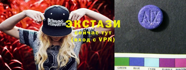прущие грибы Дмитриев