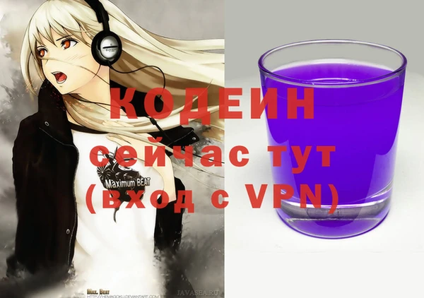 прущие грибы Дмитриев