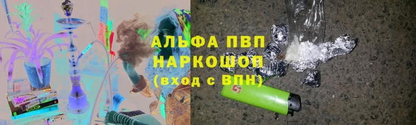 прущие грибы Дмитриев